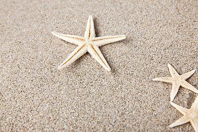 《宝可梦：大集结》“班基拉斯”宣传片 8月16日上线